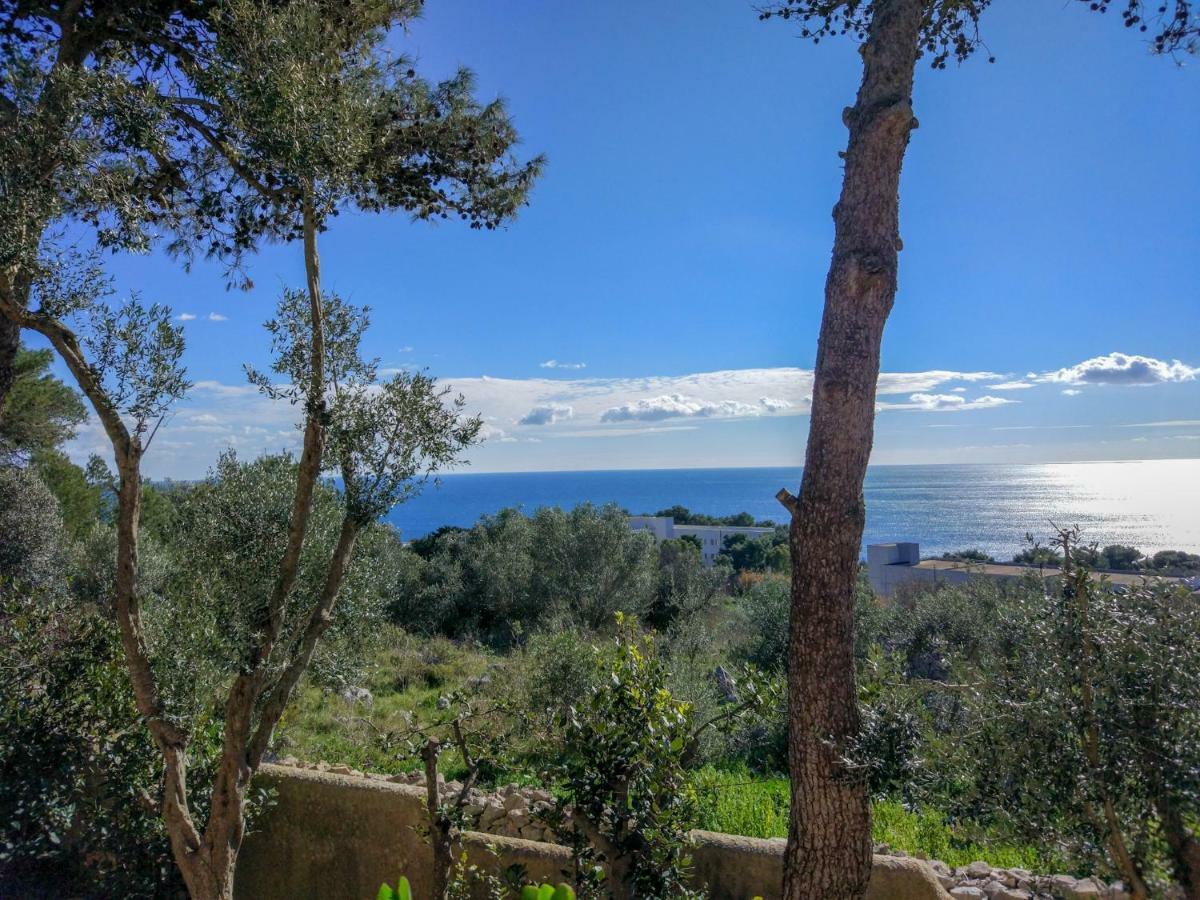 Villa Alda - Bilocali Vista Mare Santa Cesarea Terme Ngoại thất bức ảnh